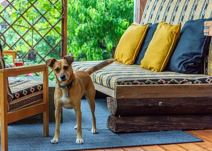 Feriehus Pucko Family Perocseny